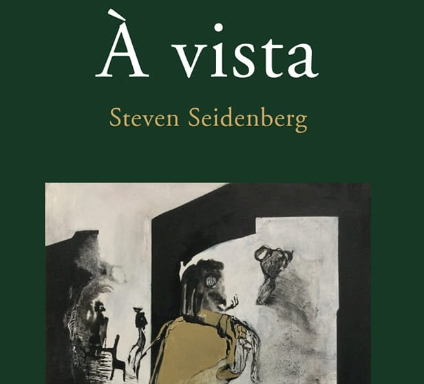 livro steven seidenberg